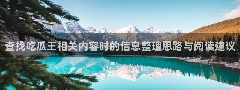 吃瓜网
