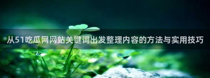 91吃瓜