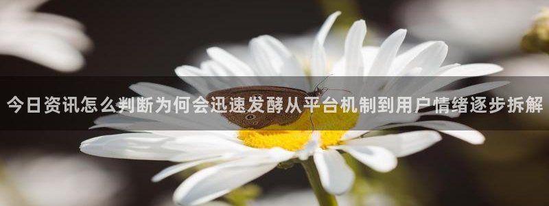 91吃瓜在线观看网站