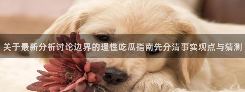 吃瓜网站导航