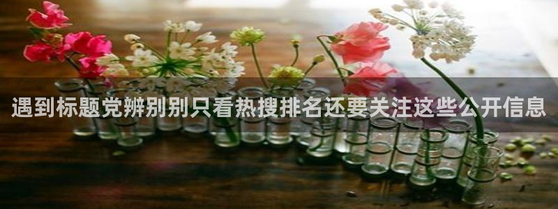 91吃瓜网站最新地址