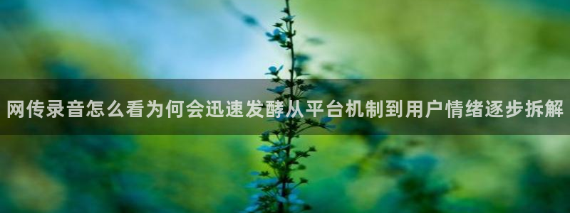 91吃瓜最新网址入口
